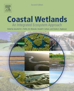 Cover of the book Coastal Wetlands by Sajal K Das, Krishna Kant, Nan Zhang