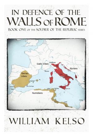 Cover of the book In Defence of the Walls of Rome (Book 1 of the Soldier of the Republic series) by Alice Degan