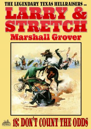 Cover of the book Larry and Stretch 18: Don't Count the Odds by Brian Garfield
