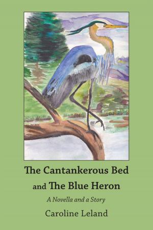 bigCover of the book The Cantankerous Bed and The Blue Heron by 