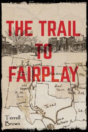 Book cover of The Trail To Fairplay