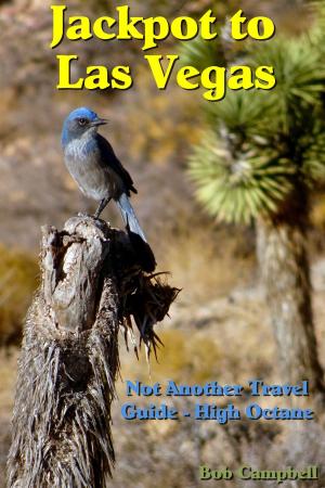 Cover of the book Jackpot to Las Vegas: Not Another Travel Guide High Octane by Bob Campbell