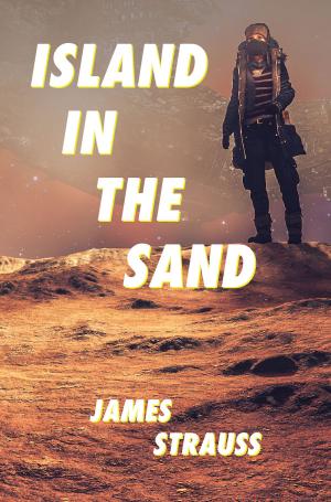 Cover of the book Island In The Sand by Grant Palmquist