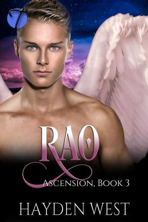 Cover of the book Rao by Victoria Vallo