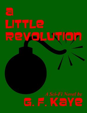 Cover of A Little Revolution