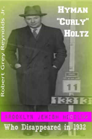 Cover of the book Hyman "Curly" Holtz Brooklyn Jewish Hoodlum Who Disappeared In 1932 by Robert Grey Reynolds Jr