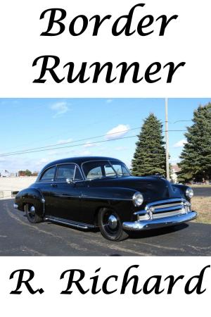 Cover of the book Border Runner by R. Richard