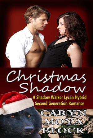 Cover of the book Christmas Shadow by Caryn Moya Block
