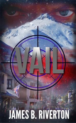 Cover of the book Vail by Karl May