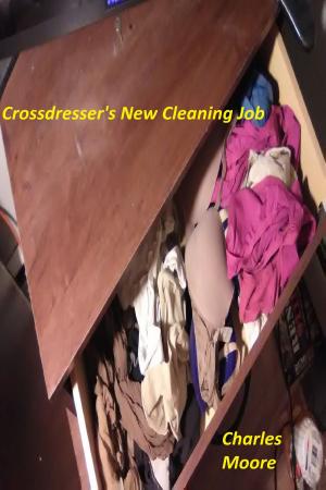 Cover of the book Crossdresser's New Cleaning Job by Evangeline Love