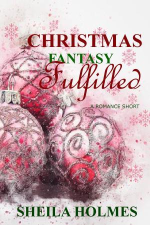 Cover of the book Christmas Fantasy Fulfilled by Sheila Holmes