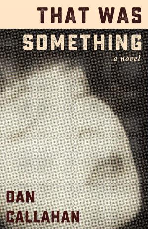 Cover of the book That Was Something: A Novel by Ian Young