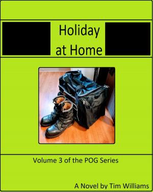 Cover of the book Holiday At Home by William Arthur Holmes