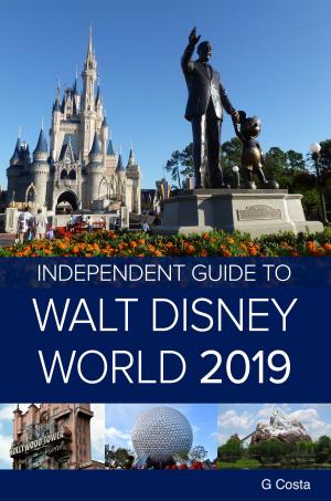 Book cover of The Independent Guide to Walt Disney World 2019