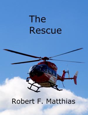 Cover of the book The Rescue by Mark Goldberg