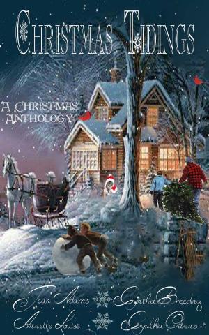 Cover of the book Christmas Tidings by Isabel Mere