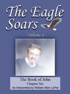 Cover of the book The Eagle Soars Volume 4; The Book of John, Chapter 6 by William LePar