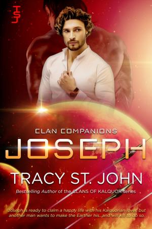 Cover of the book Joseph by Tracy St. John