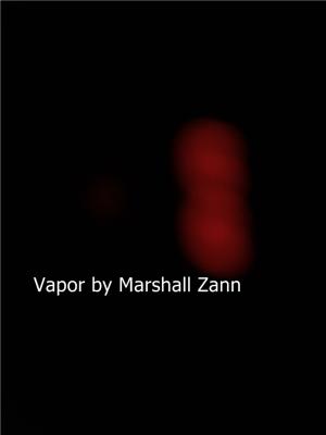 Book cover of Vapor