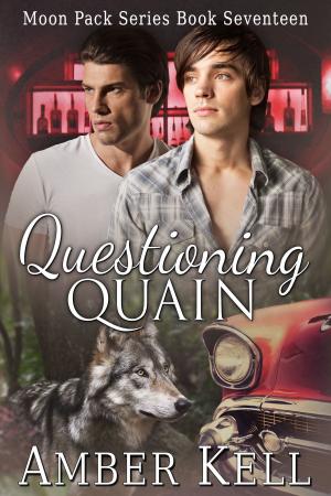 Cover of the book Questioning Quain by Amber Kell