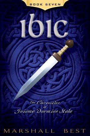Cover of the book Ibic by Tamara Shoemaker
