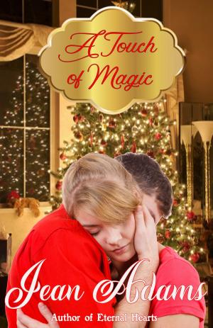 Cover of the book A Touch of Magic by Karen Hudgins
