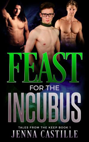 Cover of Feast for the Incubus, Tales from The Keep Book 1