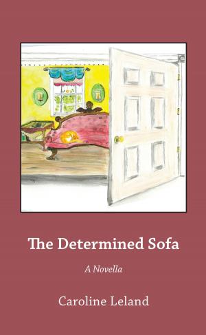 bigCover of the book The Determined Sofa by 