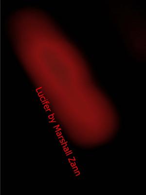 Cover of the book Lucifer by Ayotunde Agoro, Gloria Ng, Emily Ng