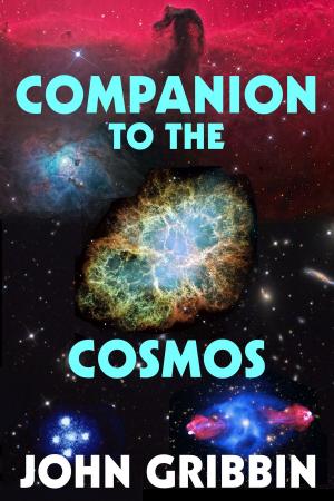 Cover of the book Companion to the Cosmos by Norman Spinrad