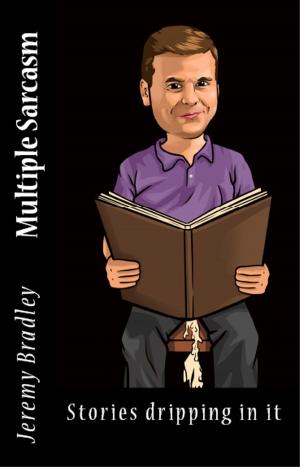 Cover of the book Multiple Sarcasm by Michael Lee Smith