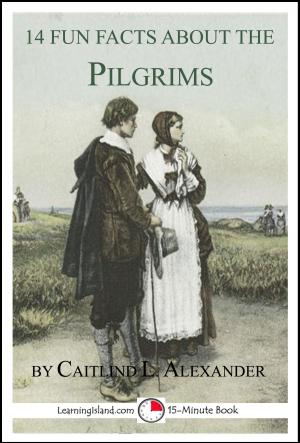 Book cover of 14 Fun Facts About the Pilgrims