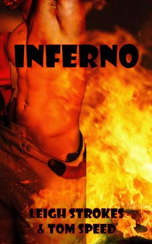 Cover of the book Inferno by SJ Slagle