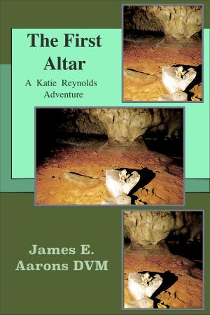 Cover of the book The First Altar by Don Ship