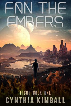 Cover of the book Fan the Embers by Ronan Frost
