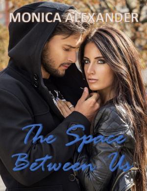 Cover of the book The Space Between Us by Ro Van Saint