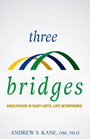 Cover of the book Three Bridges: Adulthood is Easy Until Life Intervenes by Richard Marmo