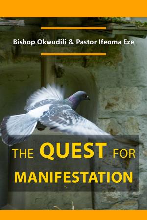 Cover of the book The Quest for Manifestation by David Alley