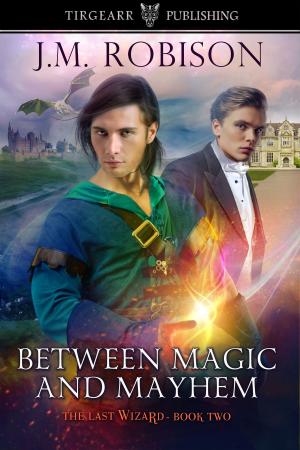 Cover of the book Between Magic and Mayhem by Kristi Ahlers