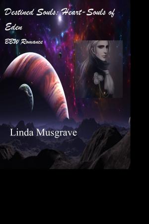 Cover of the book Destined Souls by Linda Goodnight