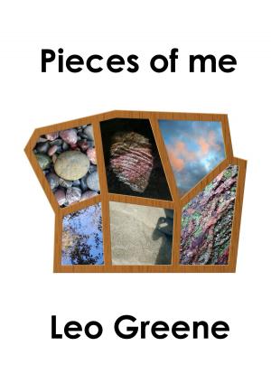 Cover of the book Pieces Of Me by Michael Jerome Johnson