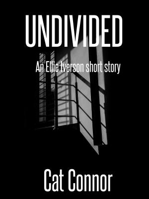 Cover of the book Undivided by Lesann Berry