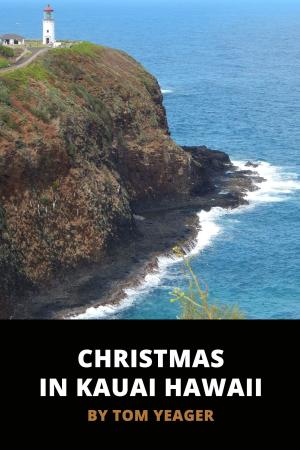 Book cover of Christmas in Kauai Hawaii