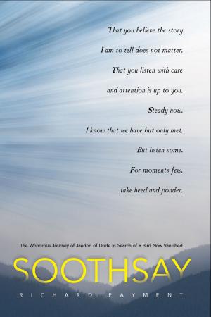 bigCover of the book Soothsay by 