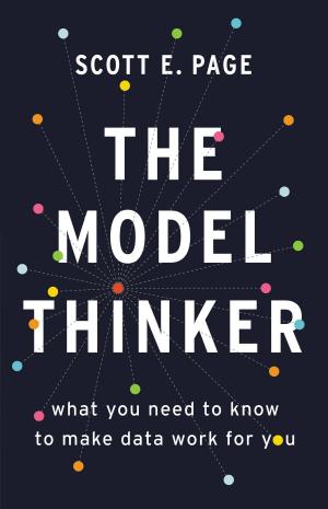 Cover of the book The Model Thinker by Brett Graff