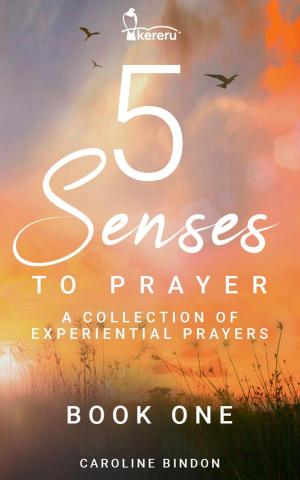 Book cover of 5 Senses to Prayer