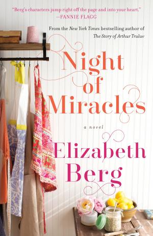 Cover of the book Night of Miracles by Catherine Lavender