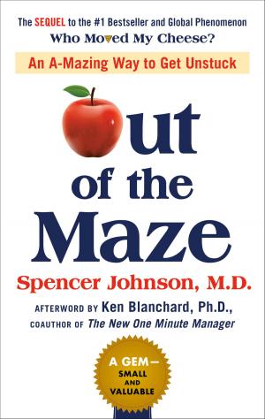 Book cover of Out of the Maze