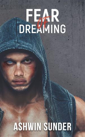 Cover of Fear of Dreaming by Ashwin Sunder, Shy Cat Publications