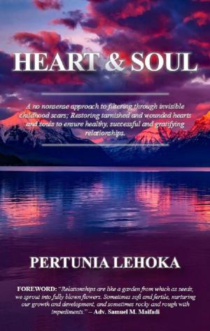 Cover of the book Heart and Soul by Robert Bacal